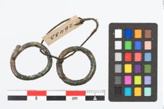 Foto von Bronzering (NHMW-PRAE-026483)